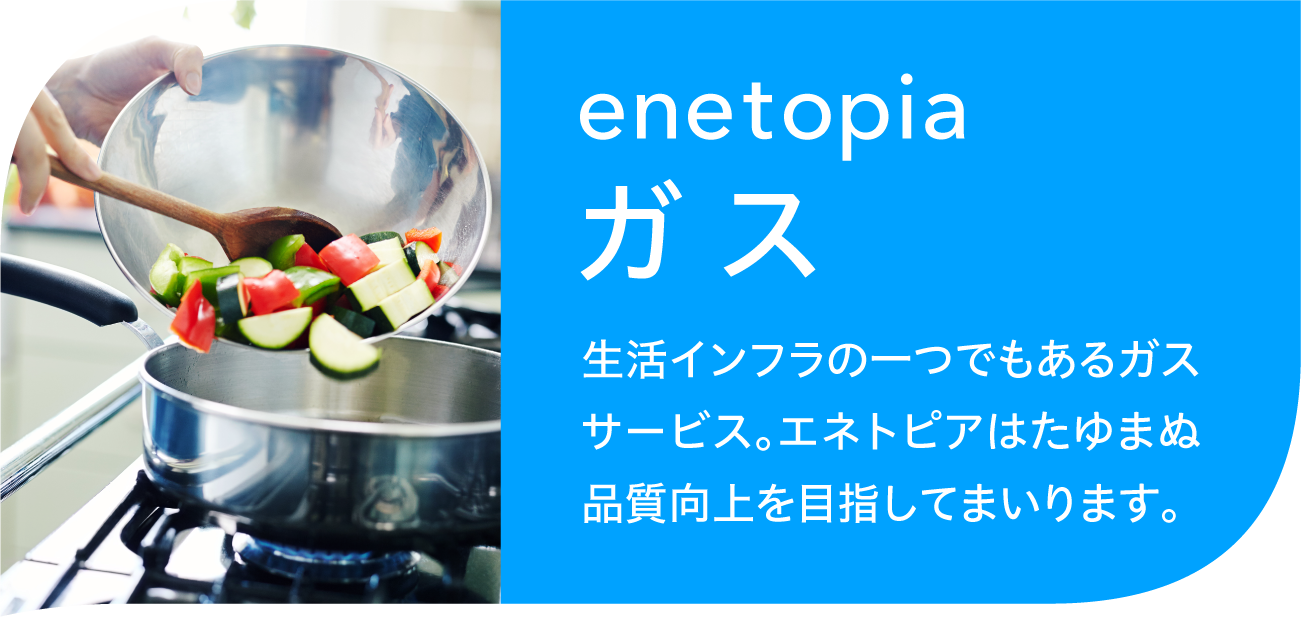 enetopiaガス