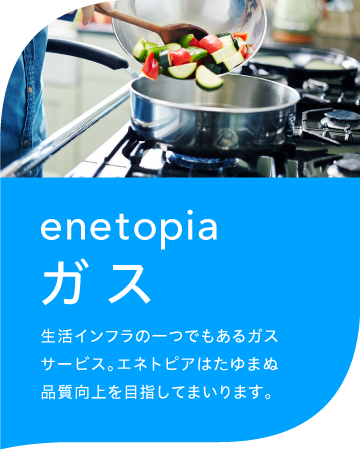 enetopiaガス